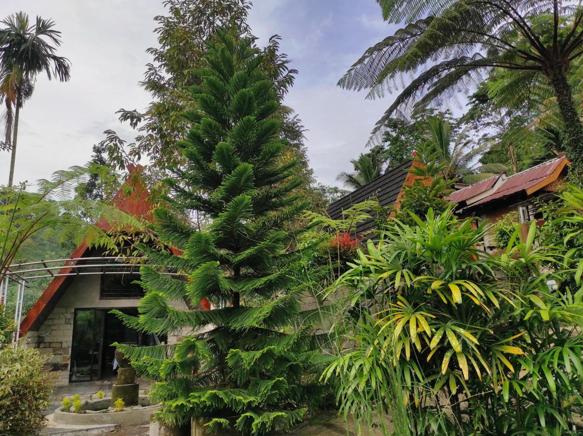 Goa Walet Cottage Praya Exteriör bild